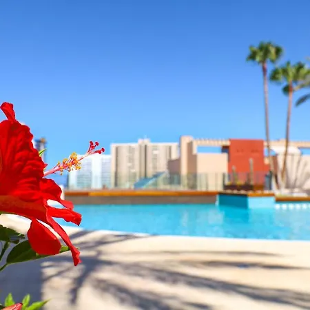 Chill In Paradise アパート *